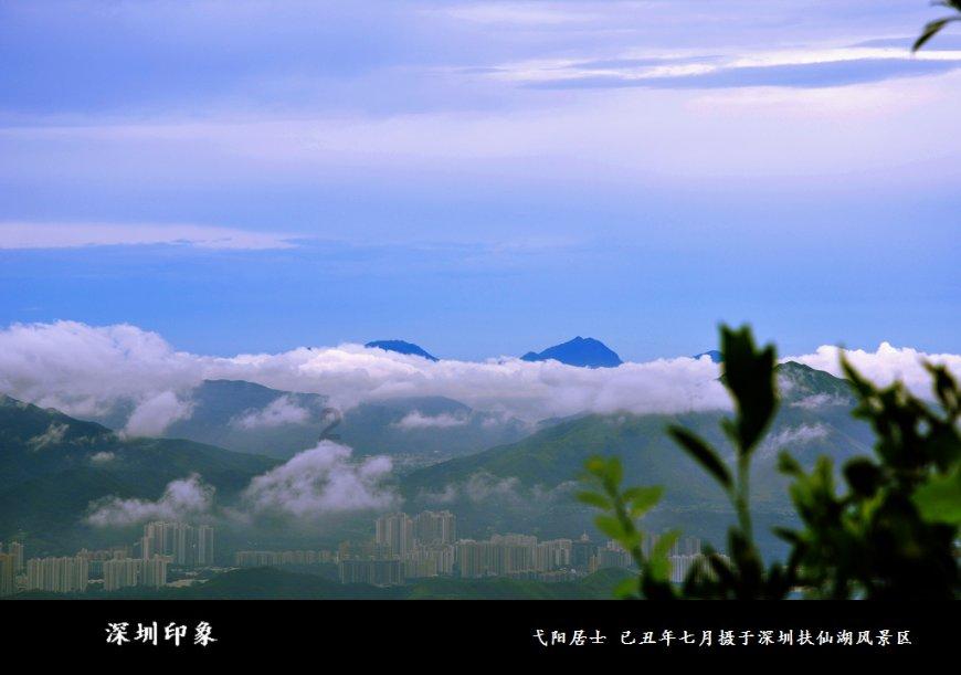 高德旗下有哪些网约车平台接单高的-分享你的热点话题